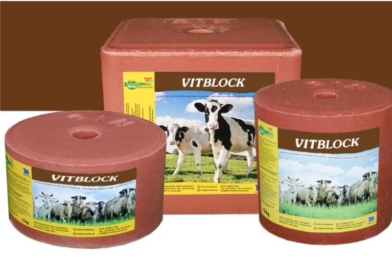 VITBLOCK