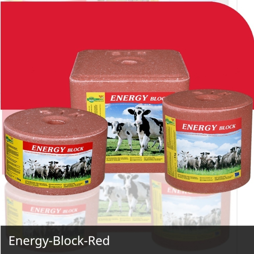 ENERGOBLOK