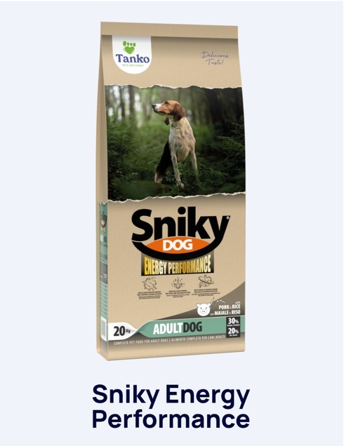 Sniky energy