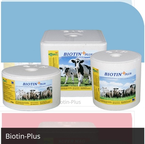 BIOTIN PLUS