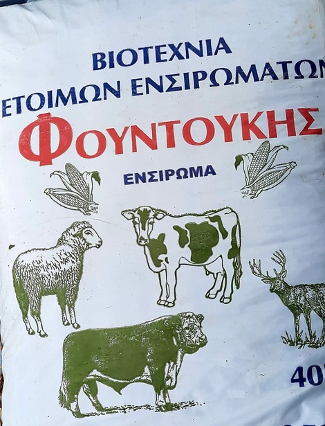 Ενσίρωση καλαμπόκι