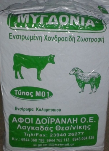 Ενσίρωση καλαμπόκι
